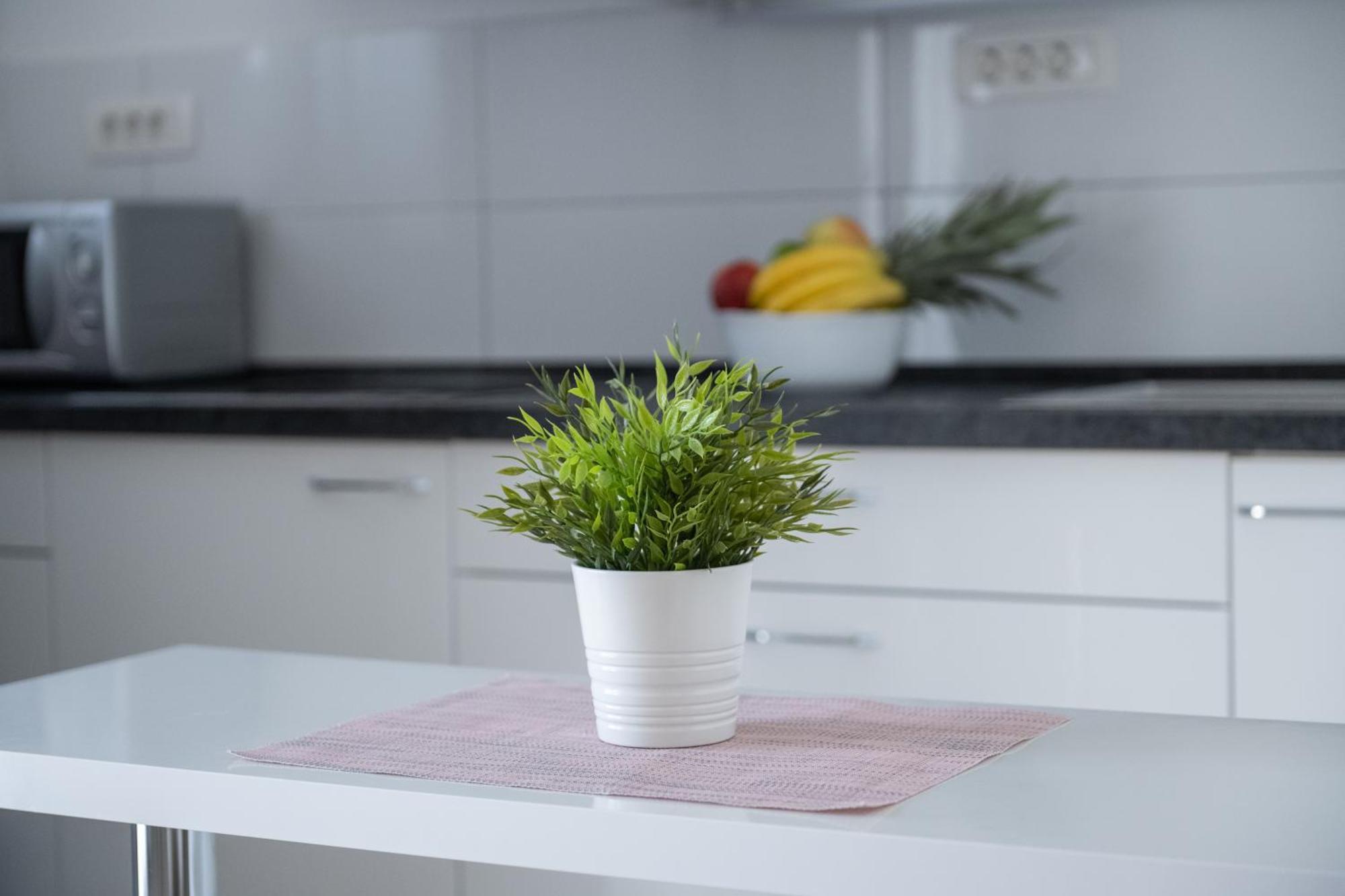 Apartments Solta Рогач Экстерьер фото