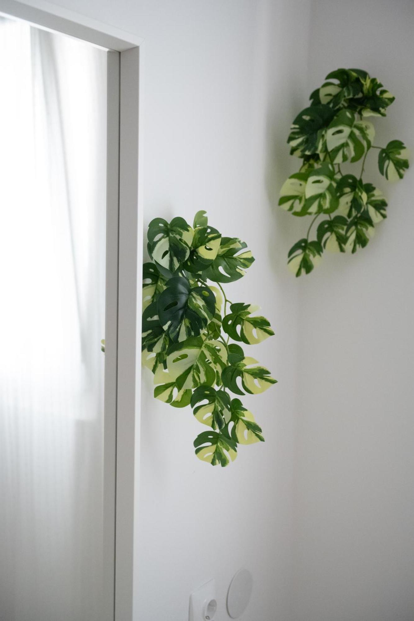 Apartments Solta Рогач Экстерьер фото